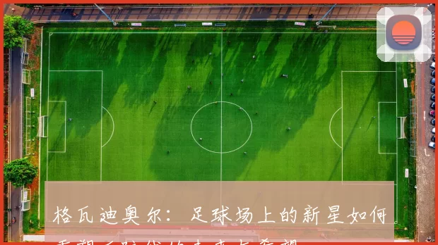 格瓦迪奥尔：足球场上的新星如何重塑后防线的未来与希望